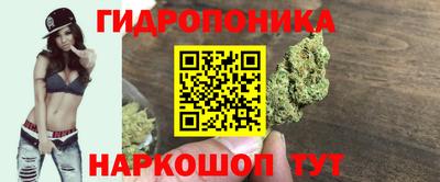 эйфоретик Лесосибирск