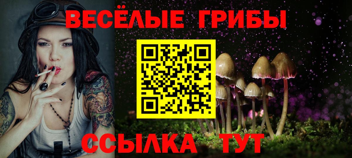 Псилоцибиновые грибы GOLDEN TEACHER  Псилоцибиновые грибы мухоморы  как найти закладки  Егорьевск  Вход с VPN 